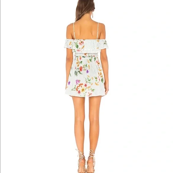 Tularosa Allie dress. - Picture 4 of 7